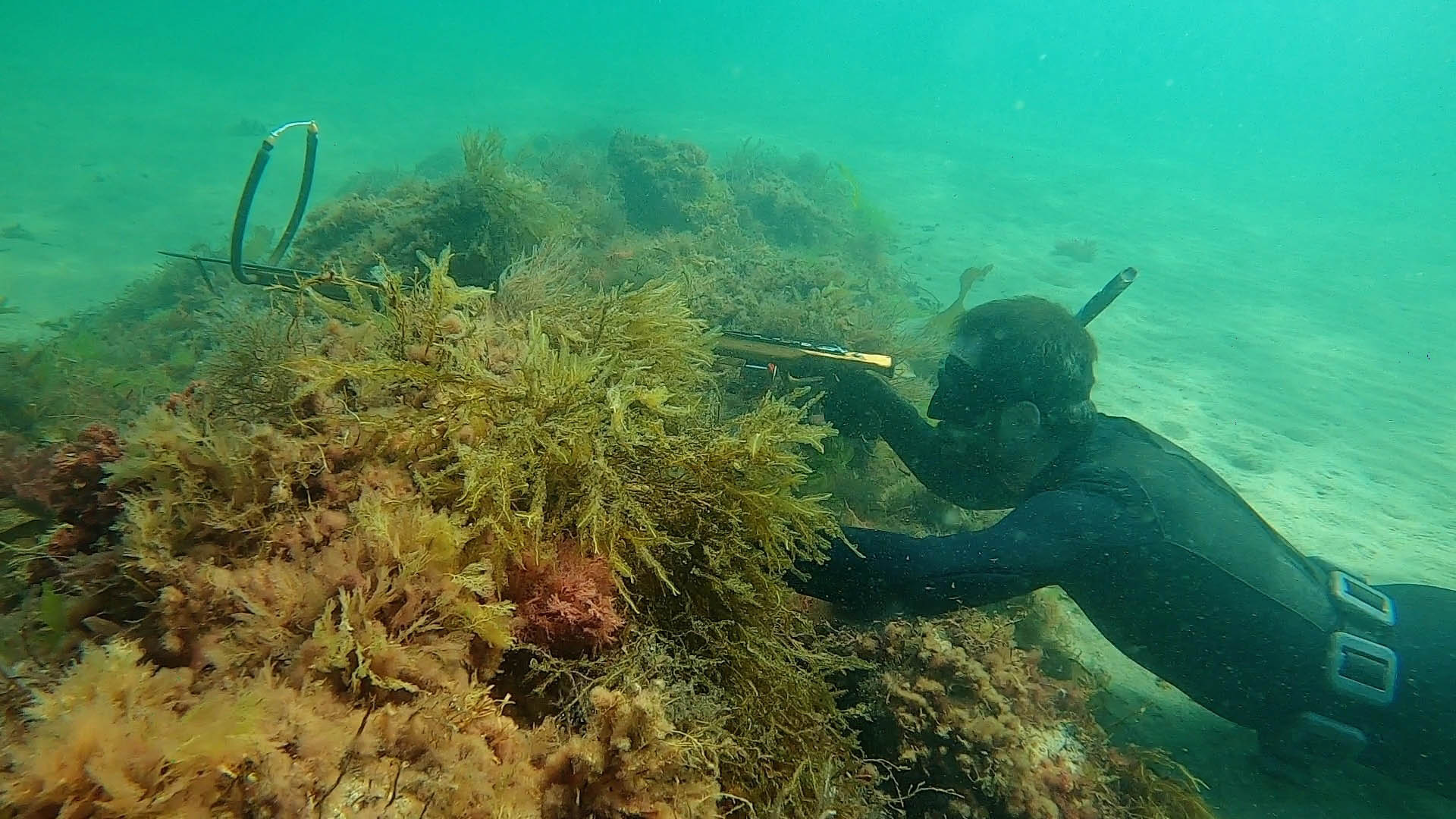 Initiation à la pêche sous-marine et à l'apnée - Séance de 3 h